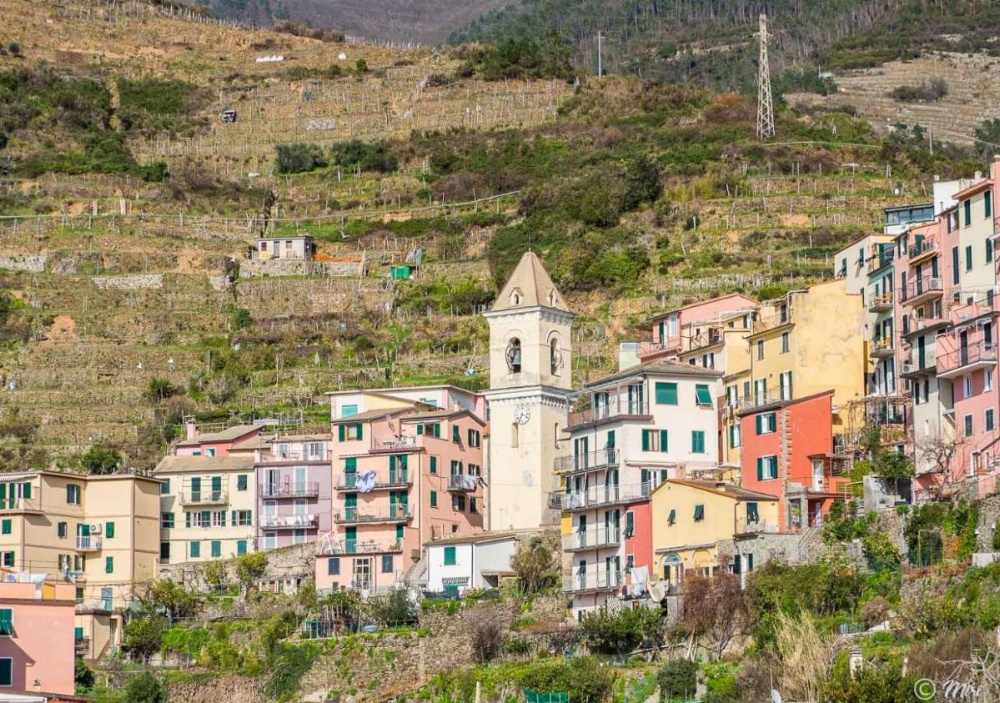 La Lampara Sea View Terrace Apartment Image 12
